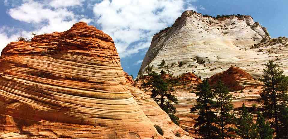 Zion National Park Tour7